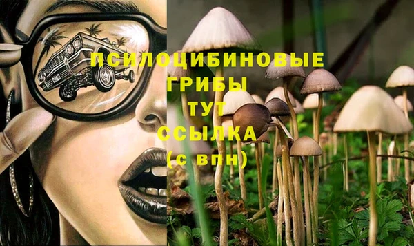 прущие грибы Кулебаки