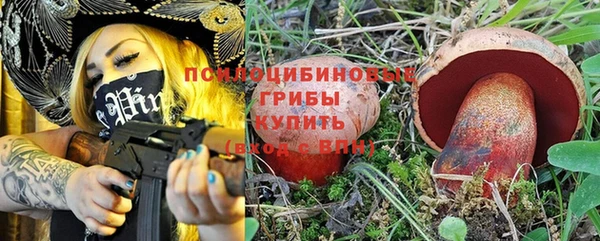 эйфоретик Кукмор