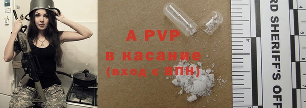 прущие грибы Кулебаки