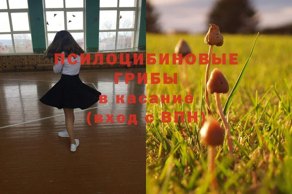 прущие грибы Кулебаки