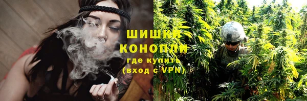 прущие грибы Кулебаки