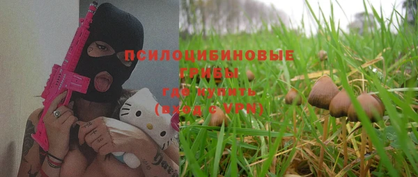 эйфоретик Кукмор
