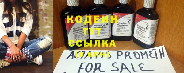 прущие грибы Кулебаки