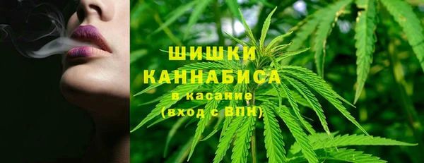 эйфоретик Кукмор