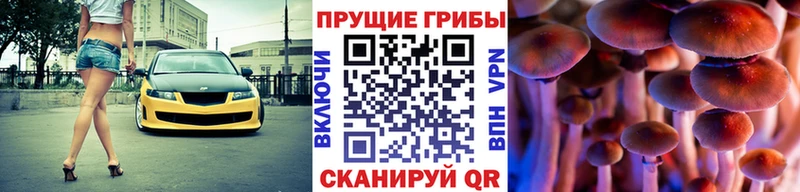 Псилоцибиновые грибы мицелий  Заозёрный 